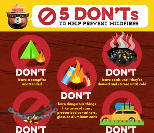 prevent wildfires